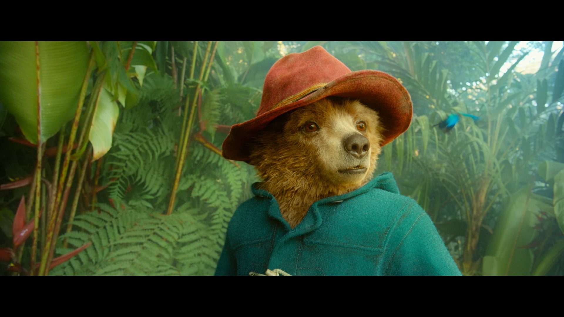 Paddington